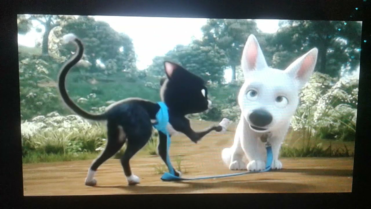 Bolt And Mittens vs Styrofoam + Begging For Food Fandub (Me Playing As Bolt And Mittens)