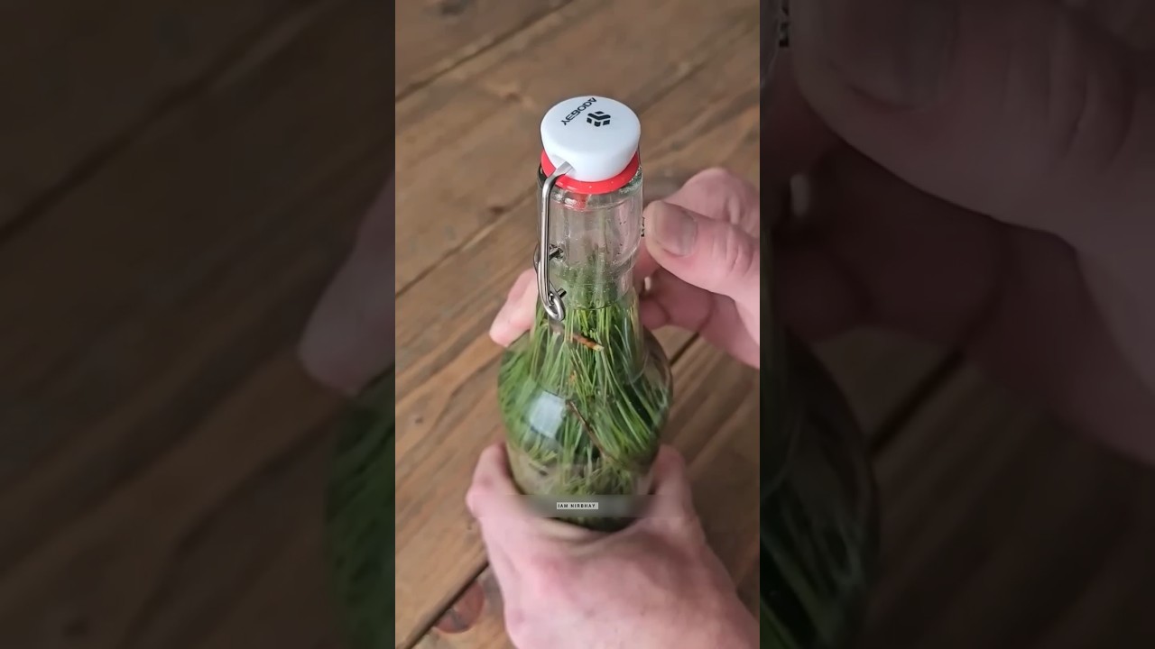 Nature का ये Science Experiment 🍾😳 #shorts #shortsvideo