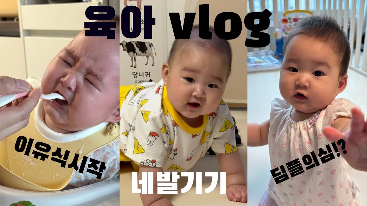육아 브이로그 / 이유식 시작 / 시판 이유식 / 네발기기 / 2차영유아검진 딤플의심 / 6개월 아기 발달