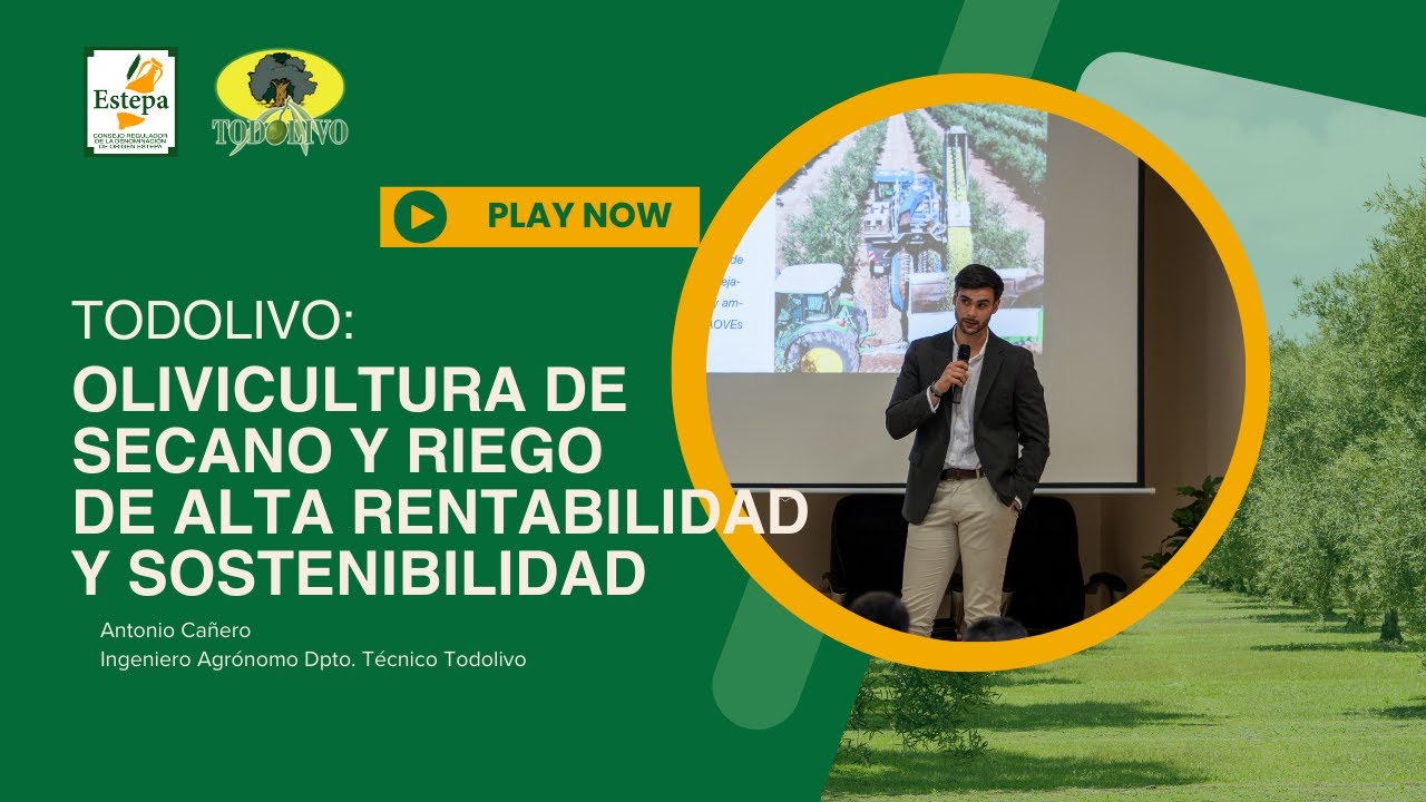 Olivicultura de secano y riego de alta rentabilidad y sostenibilidad: mejora genética.