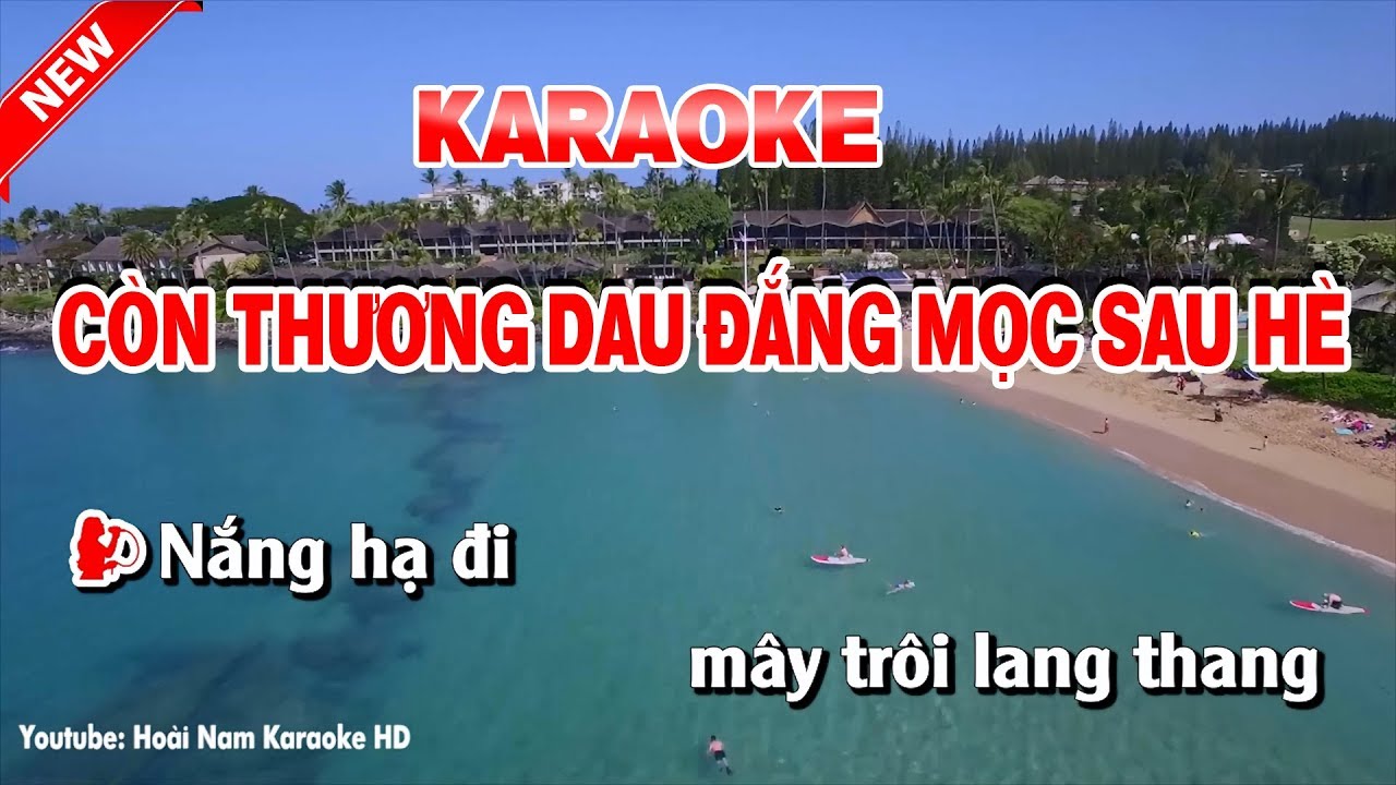 Karaoke Còn Thương Dau Đắng Mọc Sau Hè - con thuong dau dang moc sau he karaoke nhac song