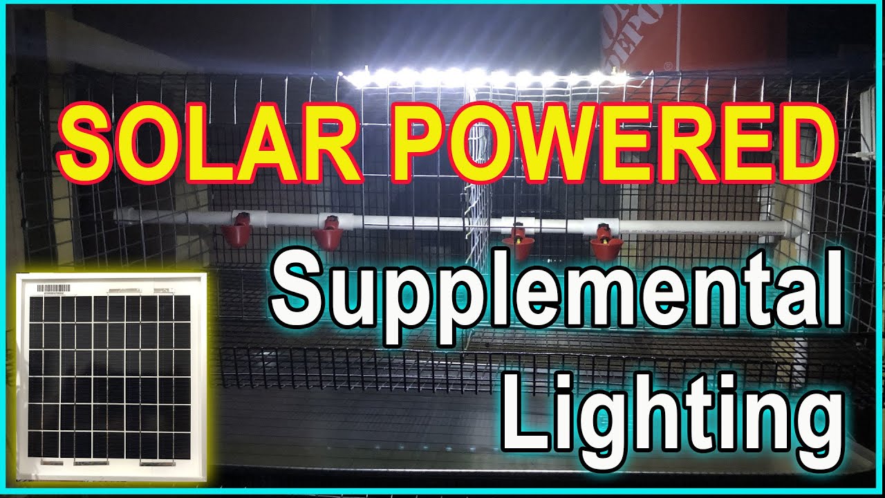 Solar Powered Supplemental Lighting - For your Coturnix Quail Cages