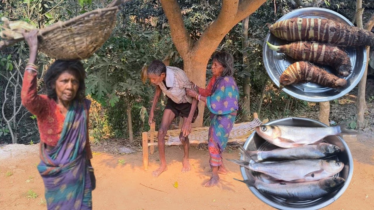 100years tribe poor grandma cooking FISH CURRY with TARO  || typical life of WEAK granny and grandpa