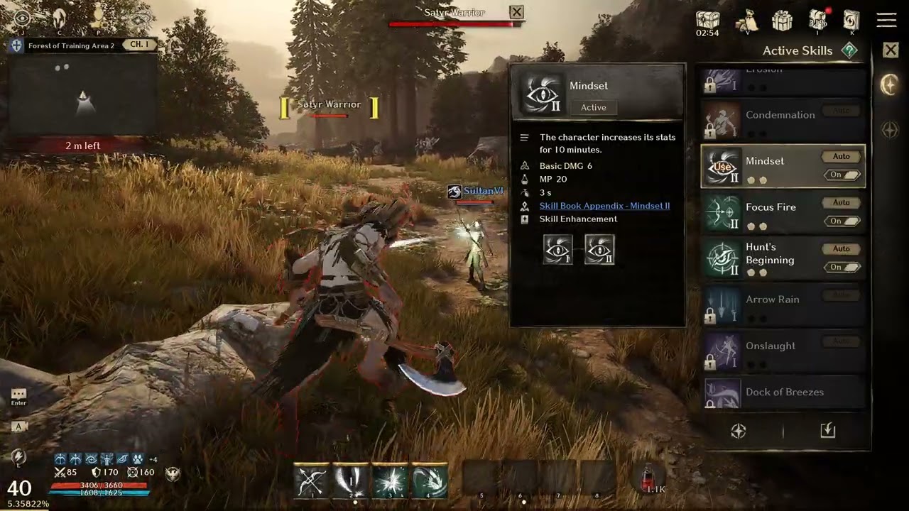 Night Crows - How to turn on auto skill.