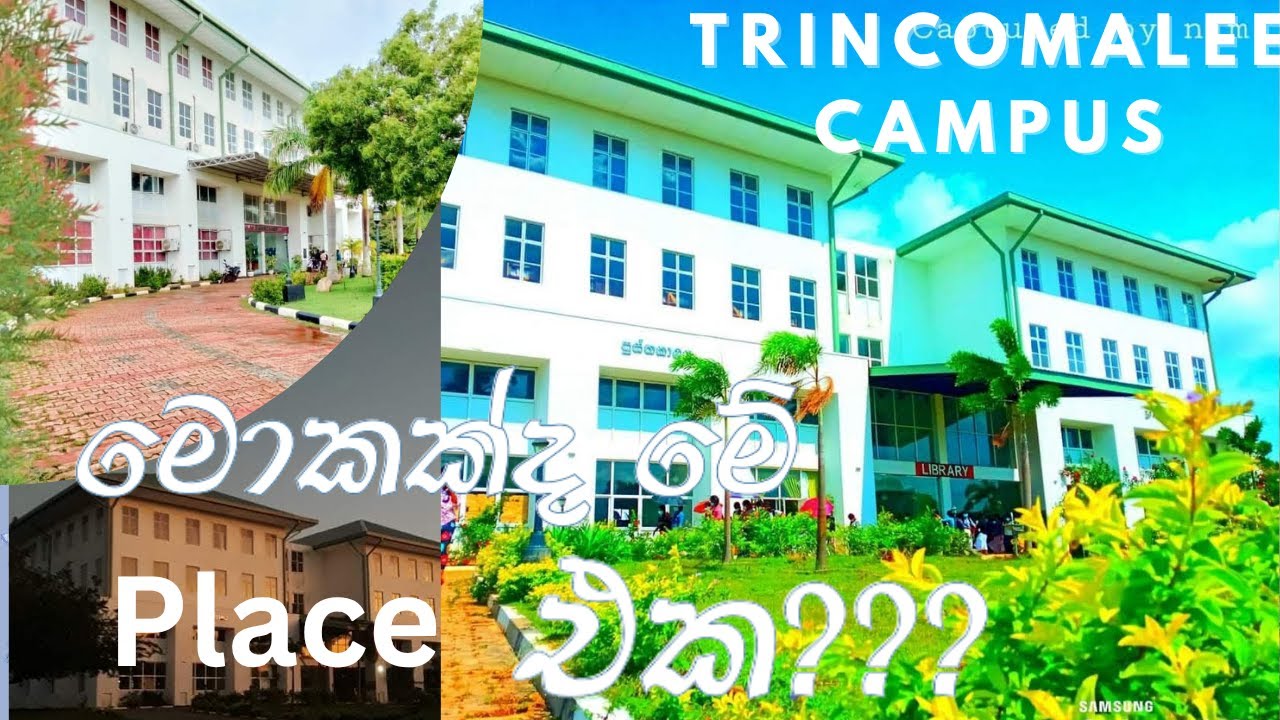 Trincomalee Campus| Eastern University, Sri Lanka| Library Building❤😍