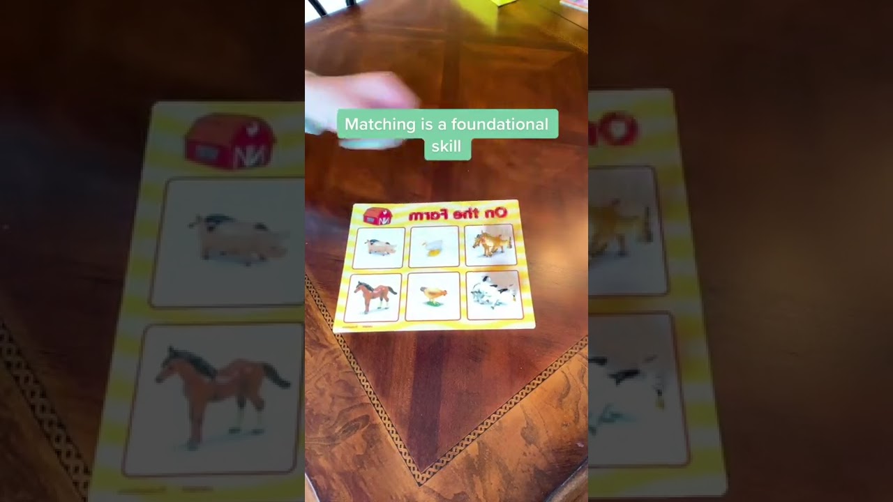 Autism Early Intervention Strategy - Matching
