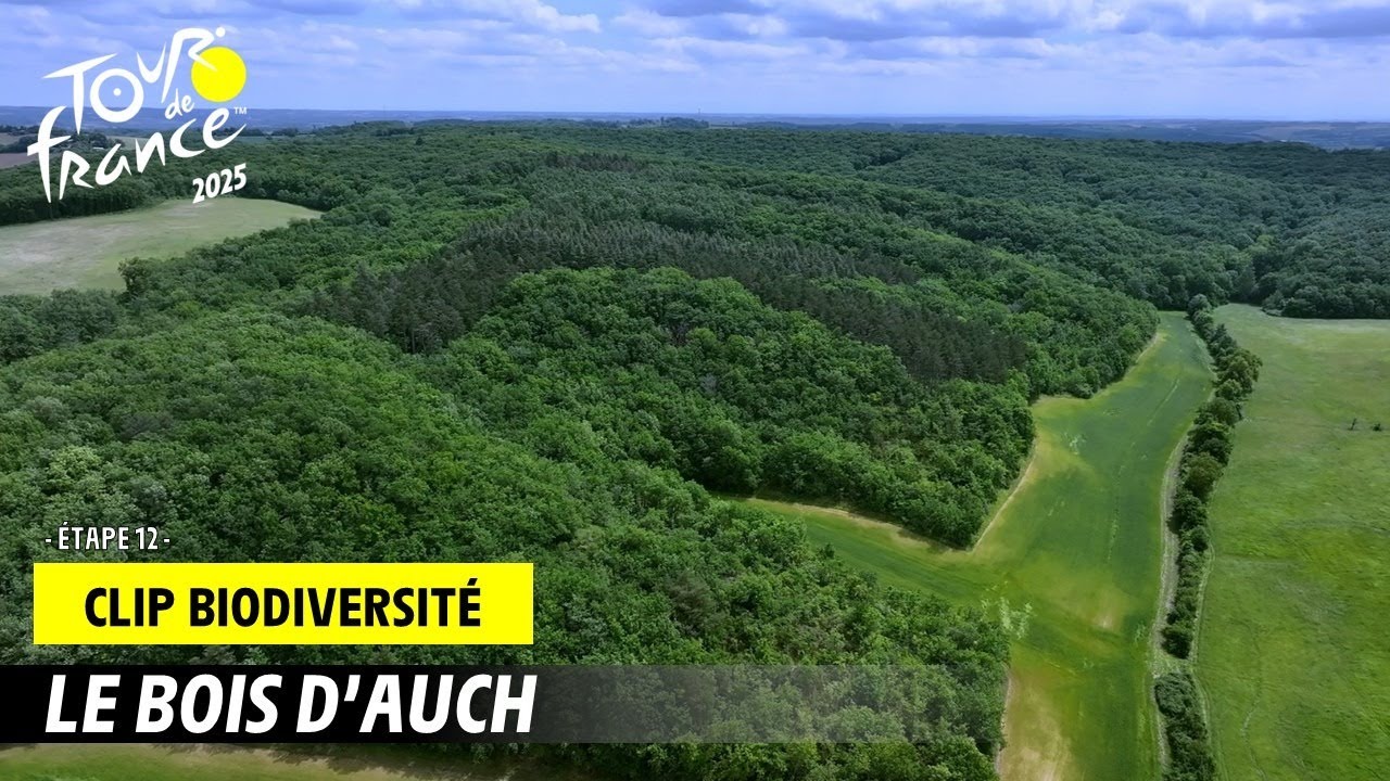 Le bois d'Auch - Tour de France 2025