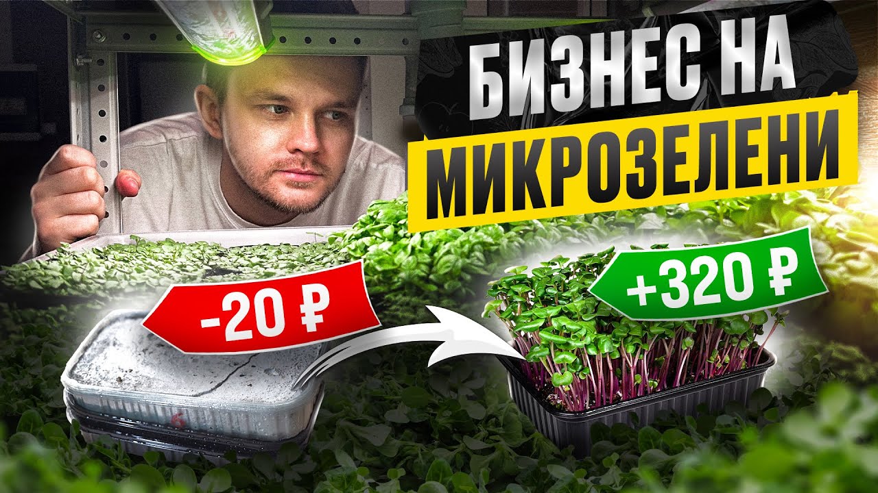 Открыл БИЗНЕС — за 5.000 ₽. Сколько приносит МИКРОЗЕЛЕНЬ. Бизнес в гараже