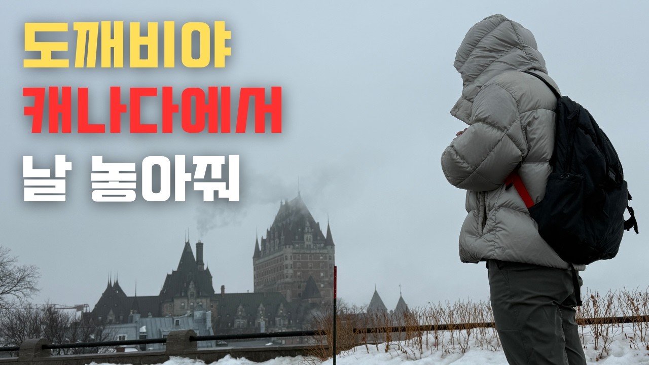 8년 살고 결국 캐나다를 떠납니다, 새로운 나라의 새로운 비자를 받다