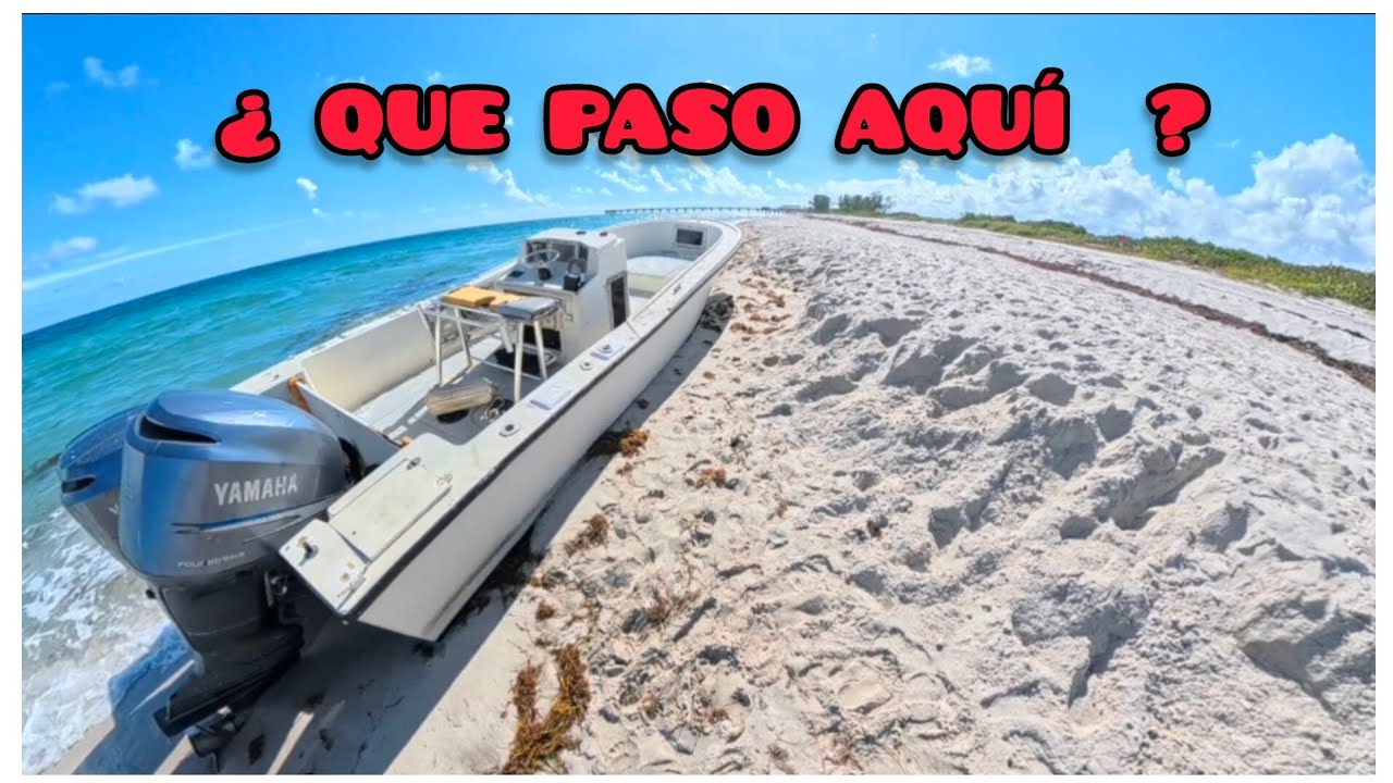 Salimos  a pescar al puente y encontramos este bote 