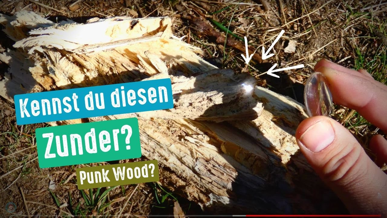 Was ist Punk Wood? Wo finden und wie benutzen? Bushcraft / Survival / Outdoor Wissen