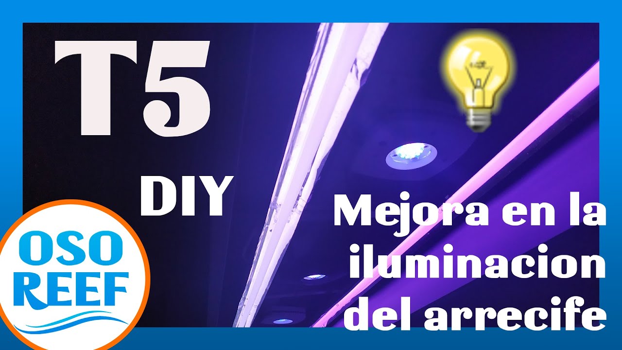 Mejora de iluminacion con lamparas T5
