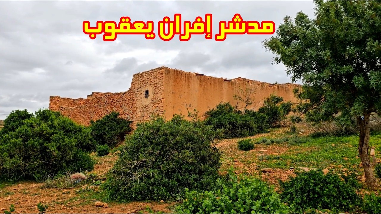 جولة قرب مدشر إفران يعقوب في إقليم بركان أجواء رائعة لعشاق الطبيعة والهدوء