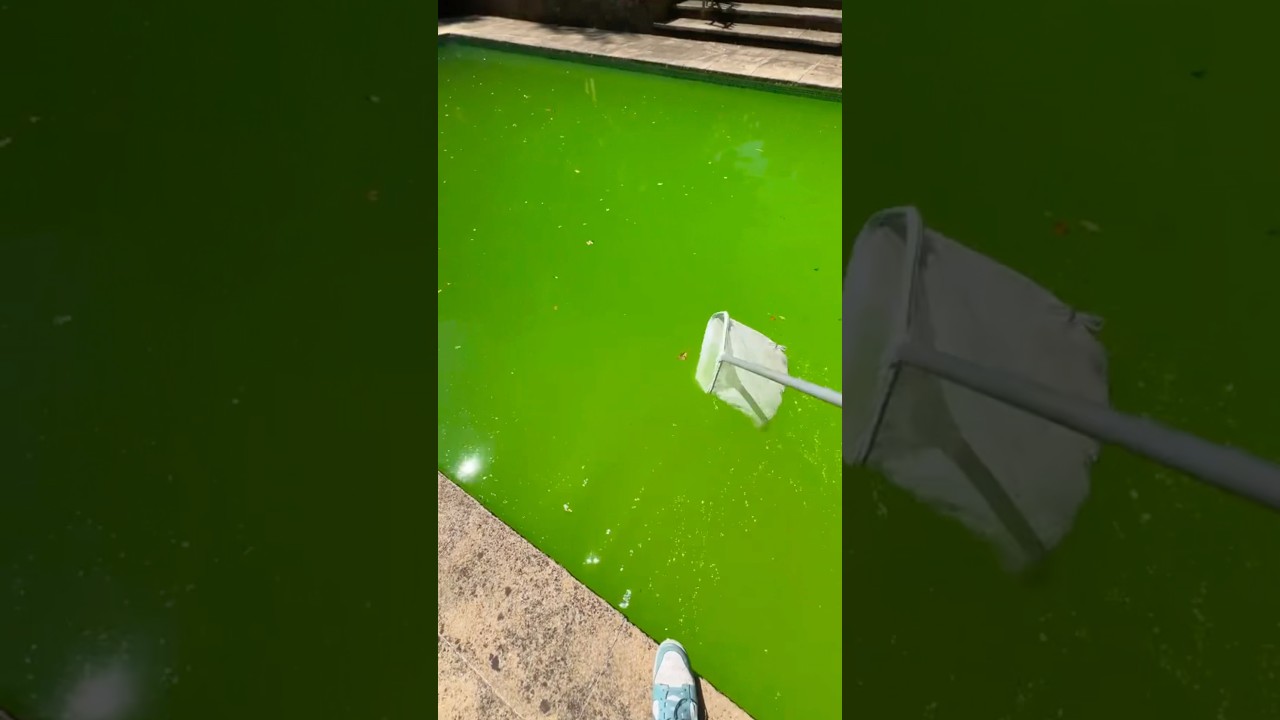 Como tratar a agua verde da piscina #satisfy #dicas #fy #limpeza #piscinas #pool #satisfying #viral
