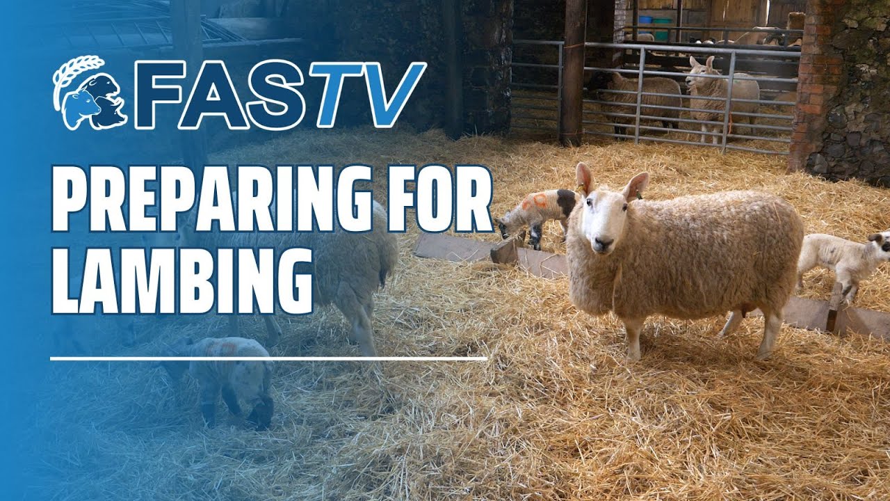 FAS TV Series 5 Ep 24 - Preparing for Lambing