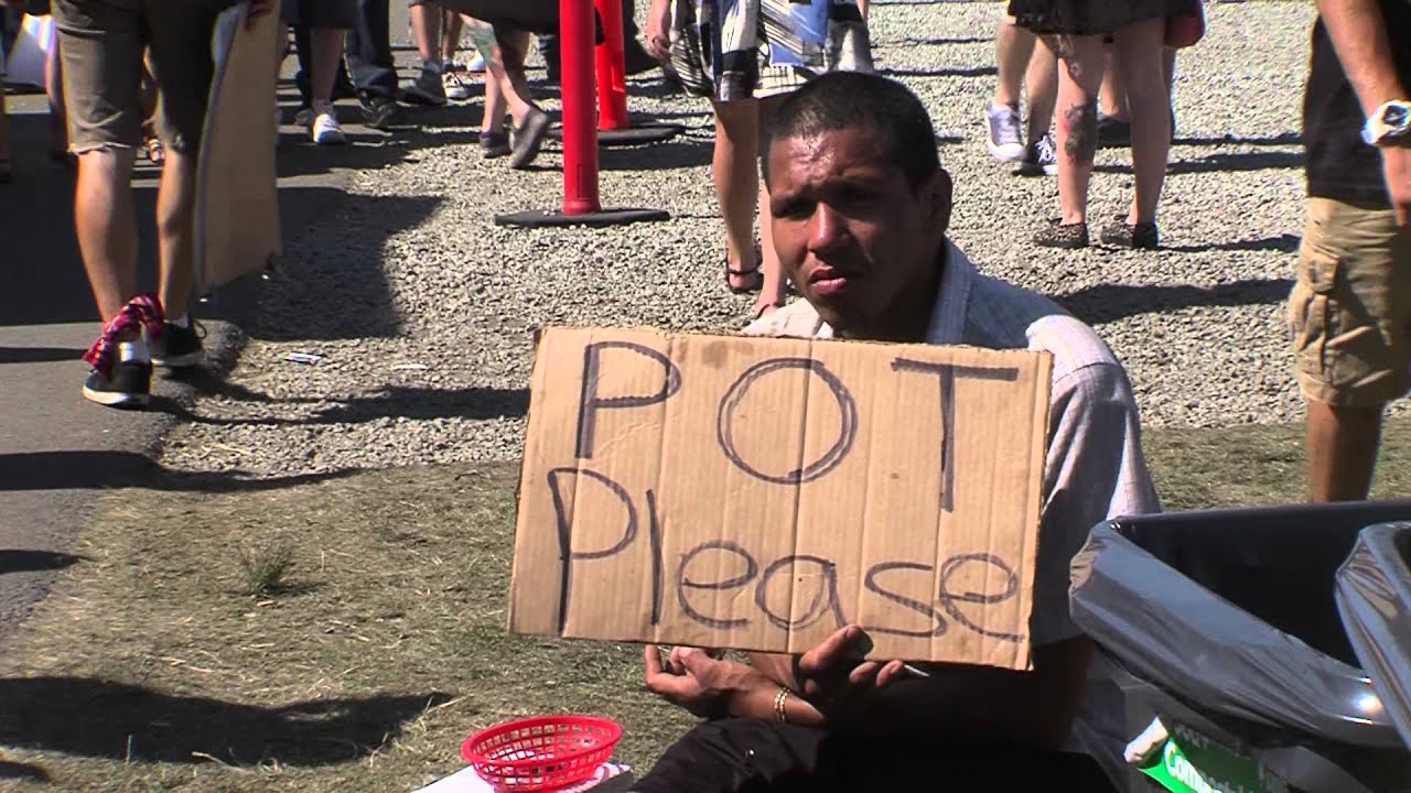 Seattle Channel Pot Tourism in Seattle? CityStream