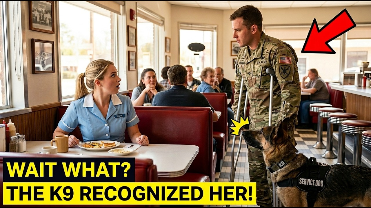 &ldquo;Can I Sit Here?&rdquo; Disabled Navy SEAL Asked a Waitress &mdash; Then His K9 Froze the Whole Diner 🐕&zwj;🦺