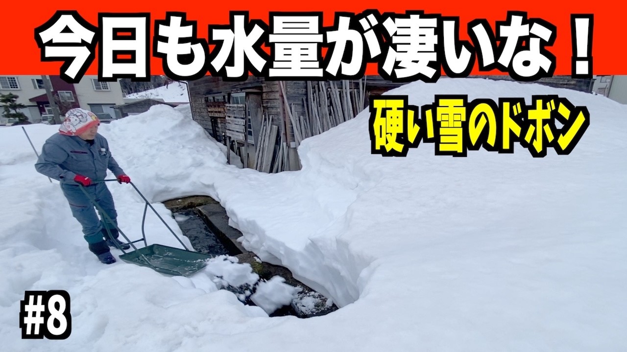 【ドボンその８】水が多いと気分も最高！でもまだまだ硬い涙！2026-03-13（金）！武七の除雪・雪かき日記　snowremoval snowplow ASMR