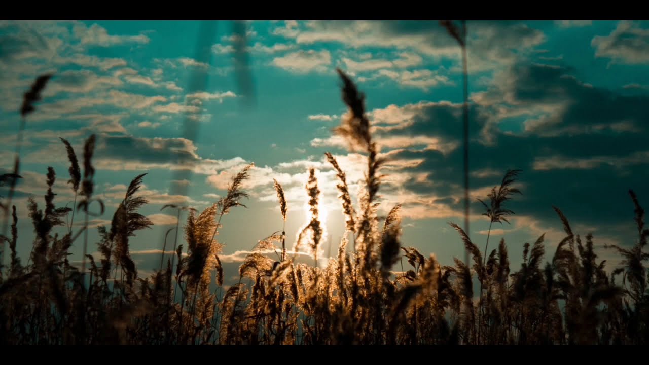 sunset status full hd |whatsapp status video