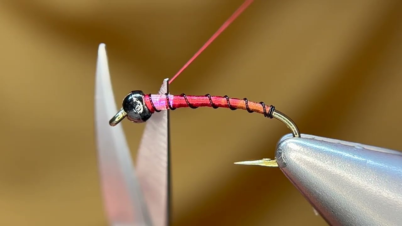 The Fade Chironomid