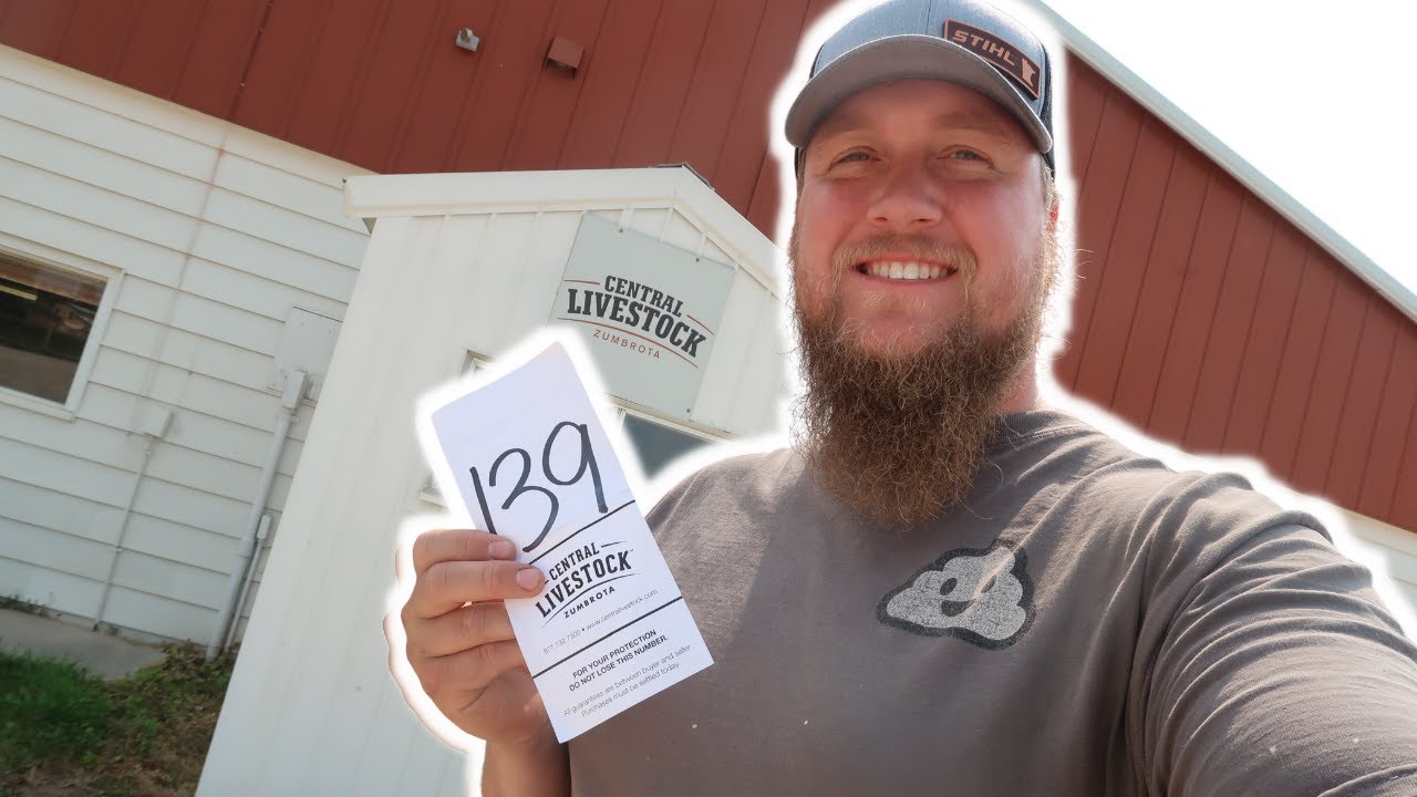 NEVER KNEW I WOULD HAVE THIS MUCH FUN AT A LIVESTOCK AUCTION!