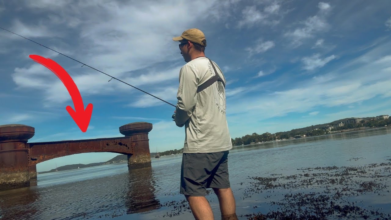 Fishing around GOSFORD on foot using Prawn Soft Plastics!