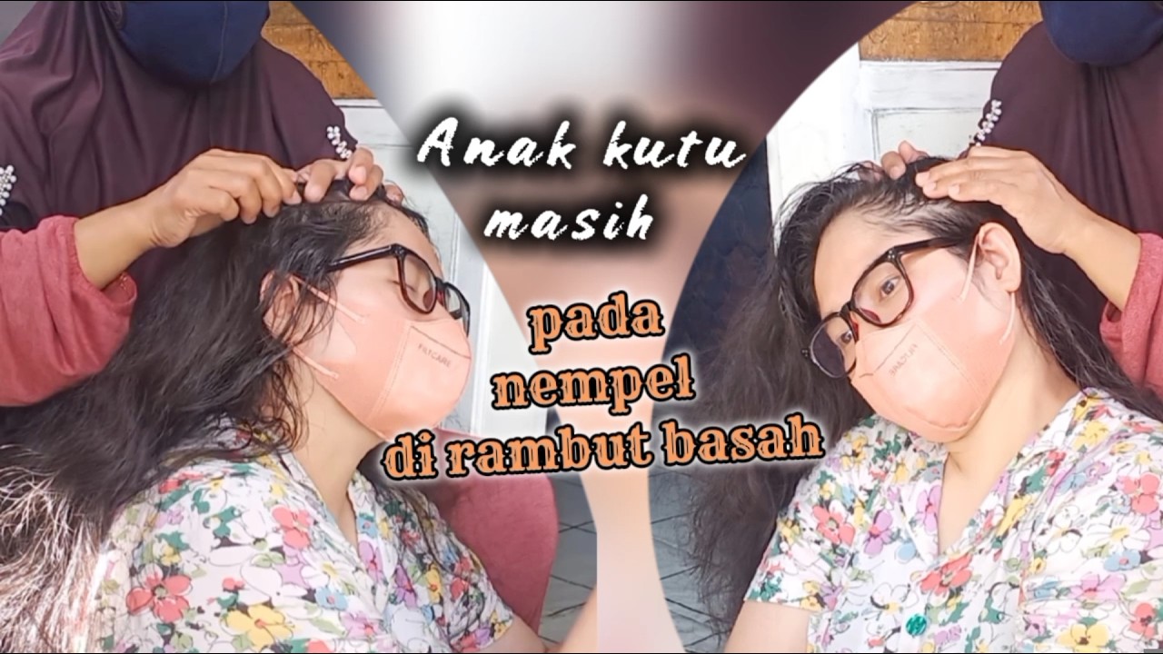anak kutu masih pada nempel di rambut basah