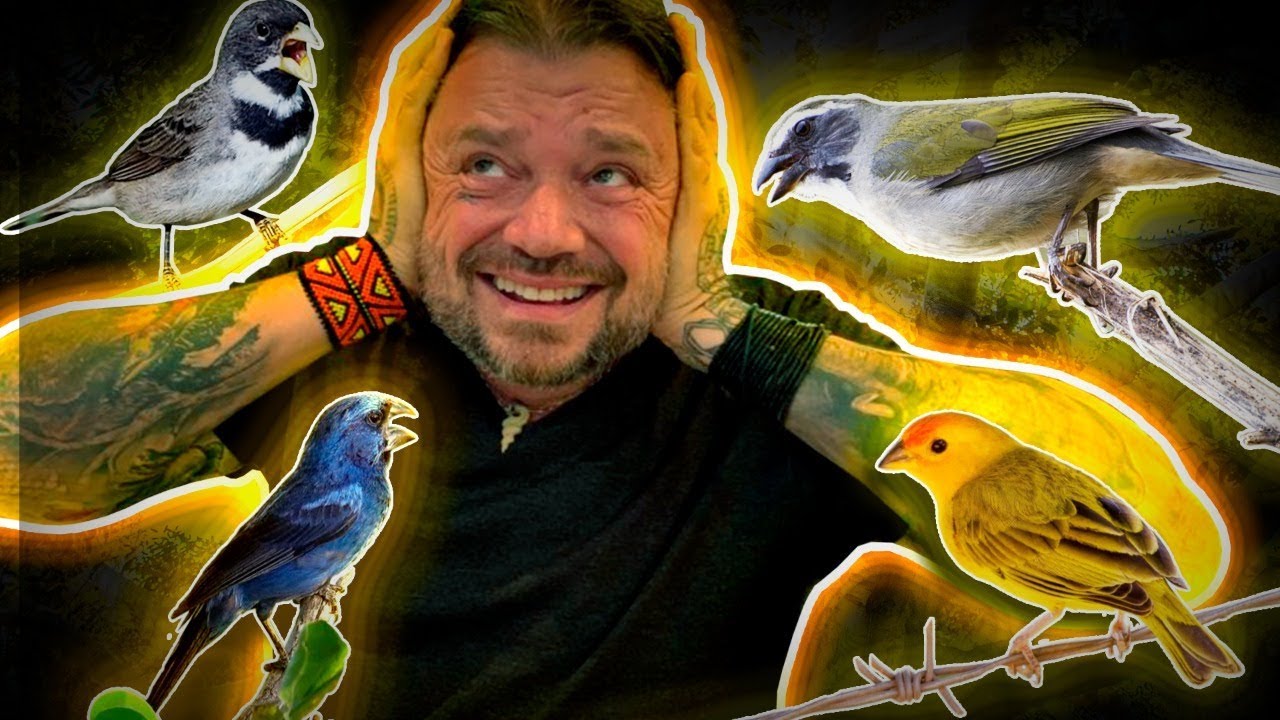 A GUERRA DAS AVES! | RICHARD RASMUSSEN
