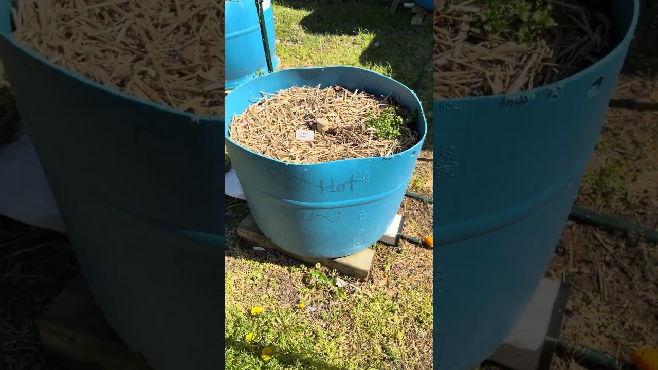 Сезон употребления каннабиса на открытом воздухе НАСТУПИЛ! #сделайсам #2026 #сад #наприроде