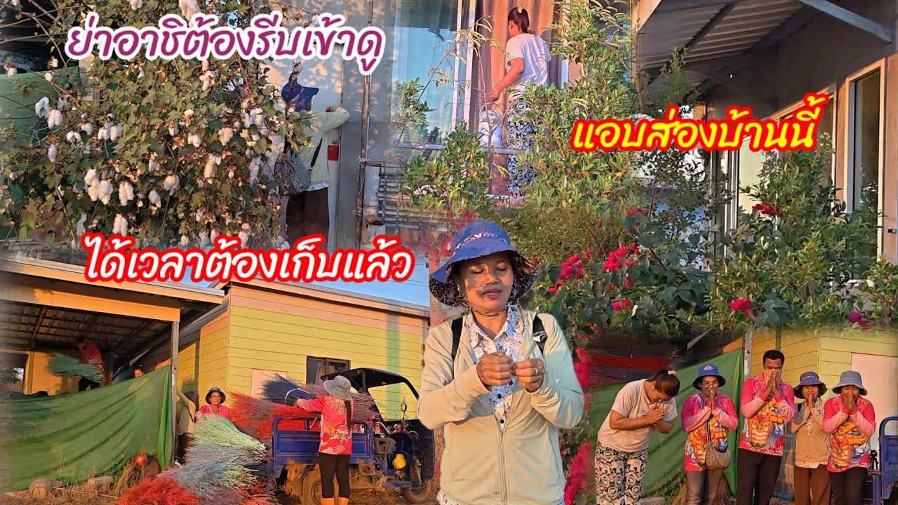 ย่าอชิเห็นอะไรหน้าบ้านลุงพัน  ได้เวลาเก็บเคลียร์แล้ว  พี่เสือเรียกใครให้..#ปุ๊แม่น้องหมิว 