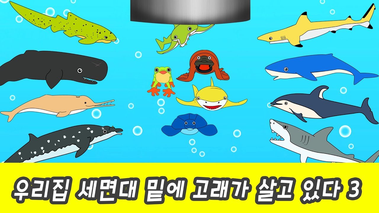 한국어ㅣ우리집 세면대 밑에 고래가 산다 3화ㅣ어린이 동물만화, 고래의 모험, 해양동물 이름 외우기ㅣ꼬꼬스토이