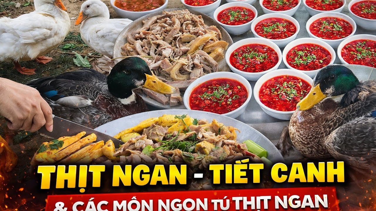 Ẩm thực Tuyên Quang: Thịt Vịt, tiết canh và các món tổng hợp.