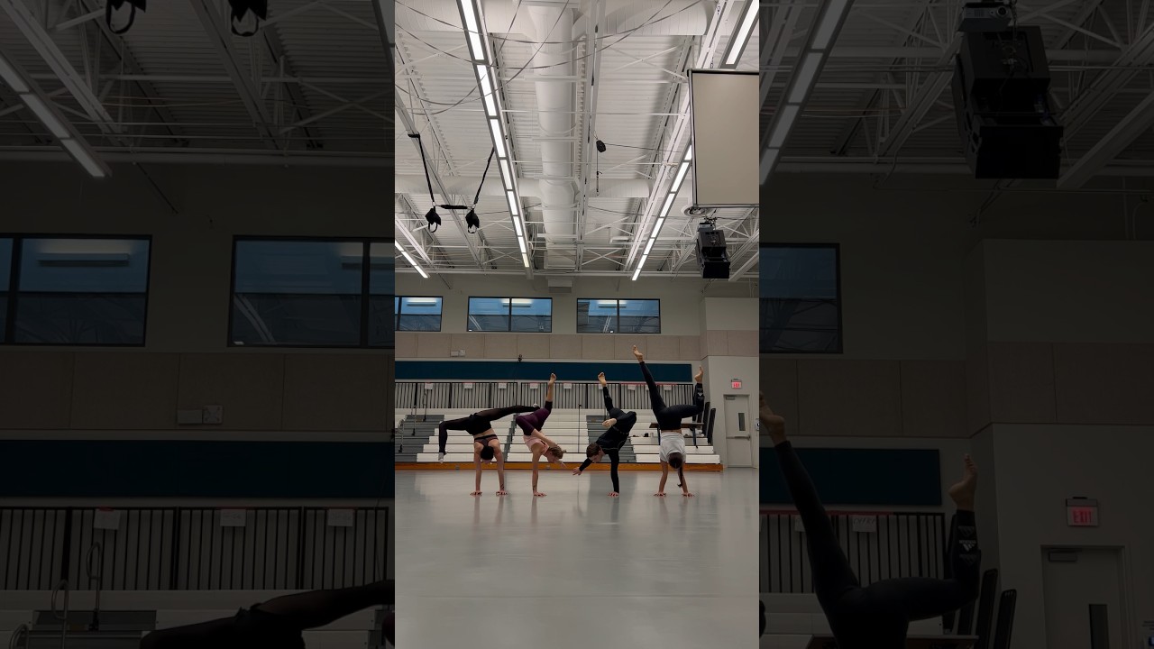 4 best handbalancer together 