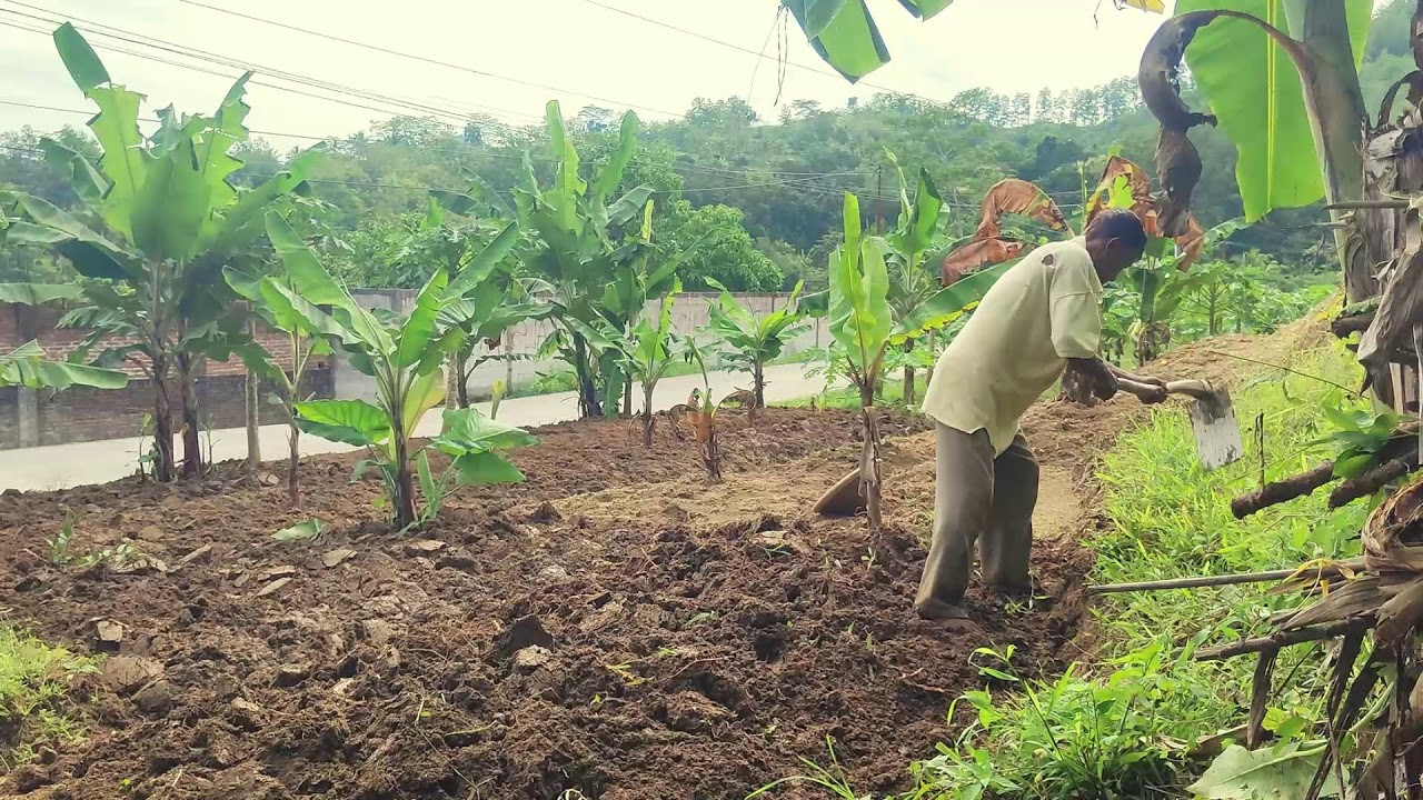 Passionate Farmer: Tilling the Soil for a New Garden _FarmersLife _Shorts
