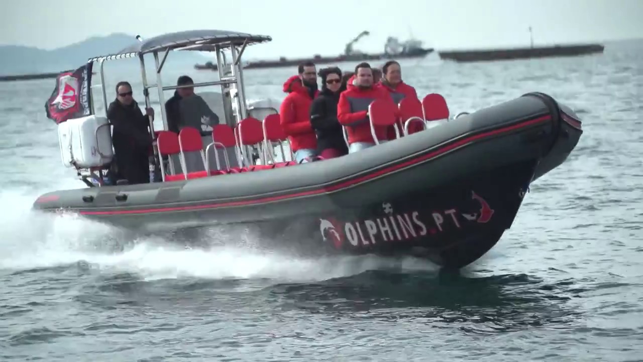 NARWHAL FAST-1000 DOLPHINS EN