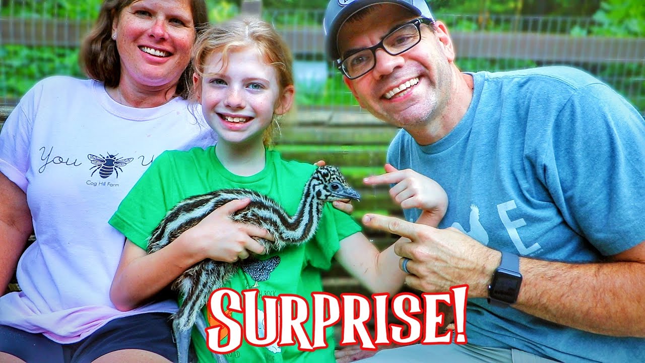 We’re Getting a Baby EMU!! [Our New Farm Pet]