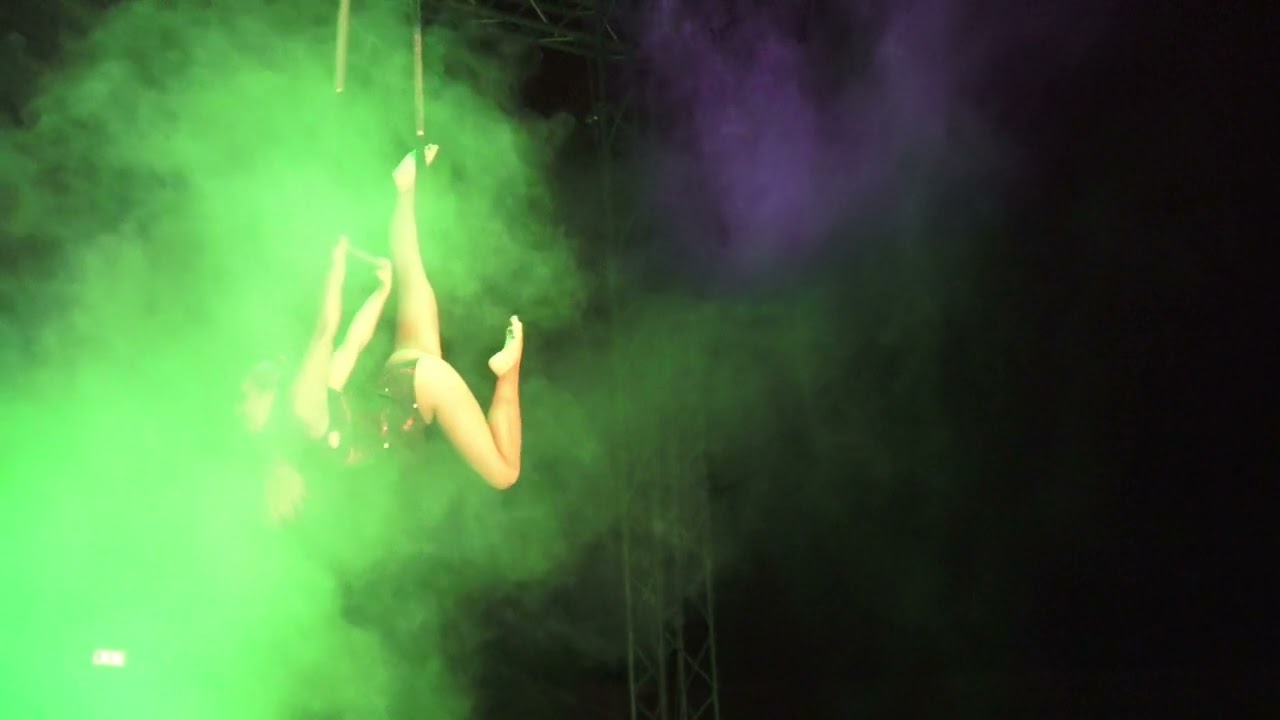 Trend and Dance 2024  Circo di Vienna  Trieste 2023  seconda parte special best