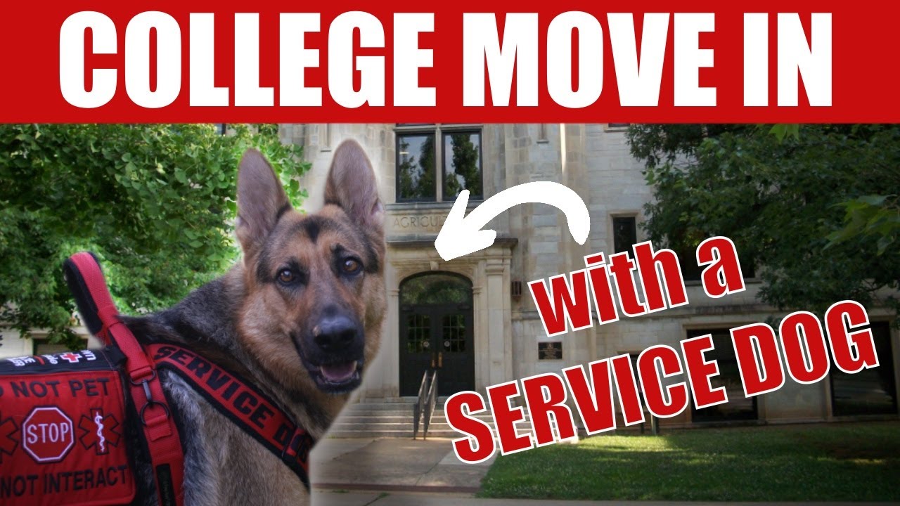 COLLEGE MOVE IN with a SERVICE DOG!!