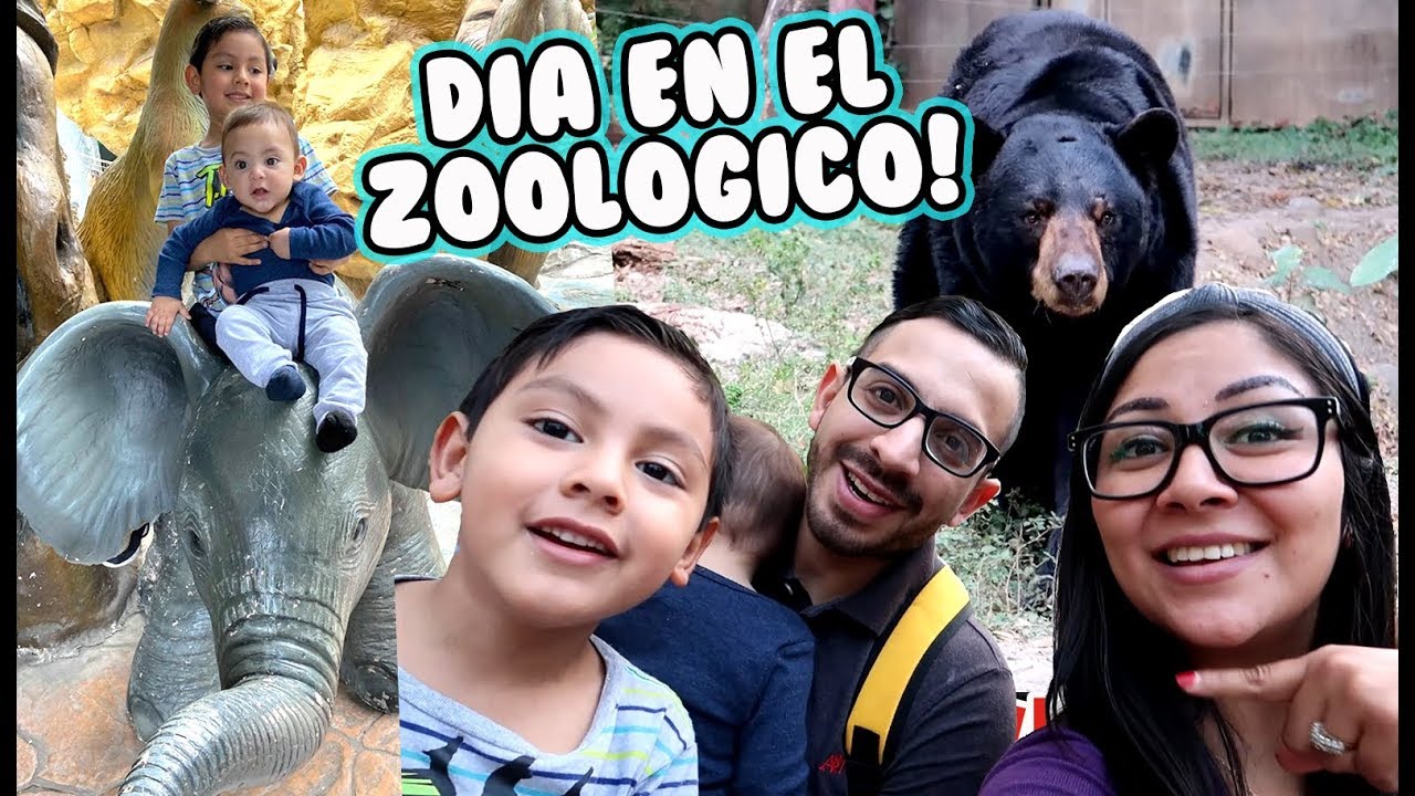 Día en el Zoológico | Paseo Familiar | Family Juega