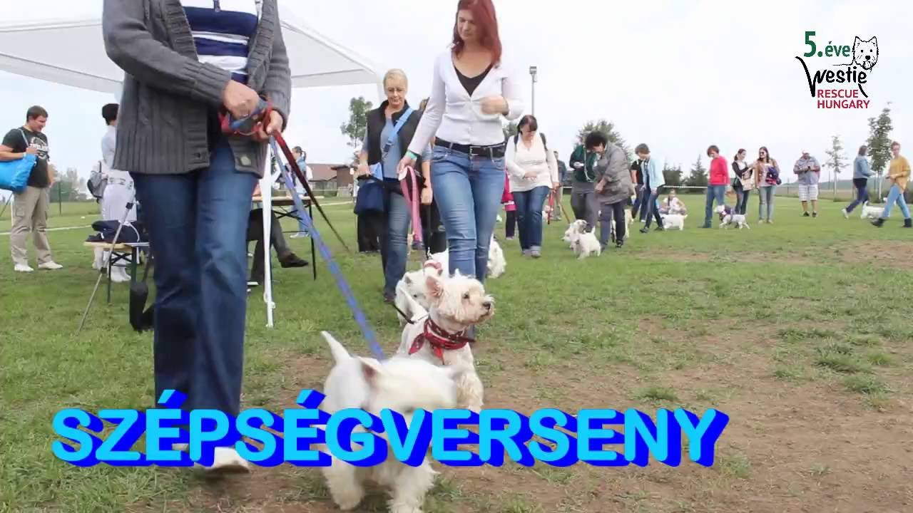 Westie Rescue Hungary 5. sz&uuml;linap PROM&Oacute;