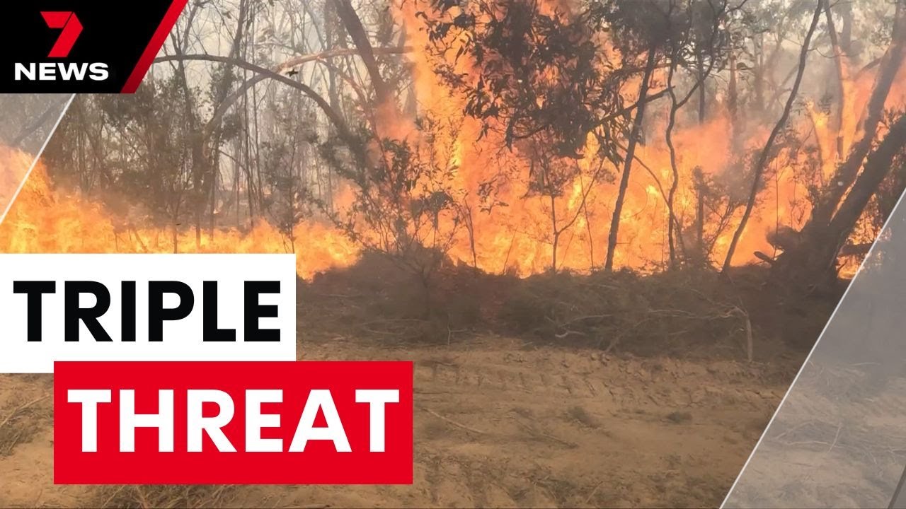 Tourists ordered out of holiday hot spots as three major bushfires burn across Victoria | 7NEWS