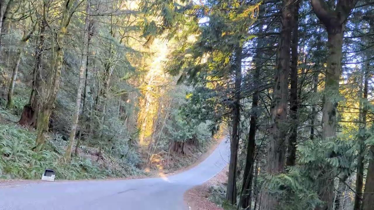 4K Virtual Walk 🌲Pacific NW 🌲Sudden Valley, WA