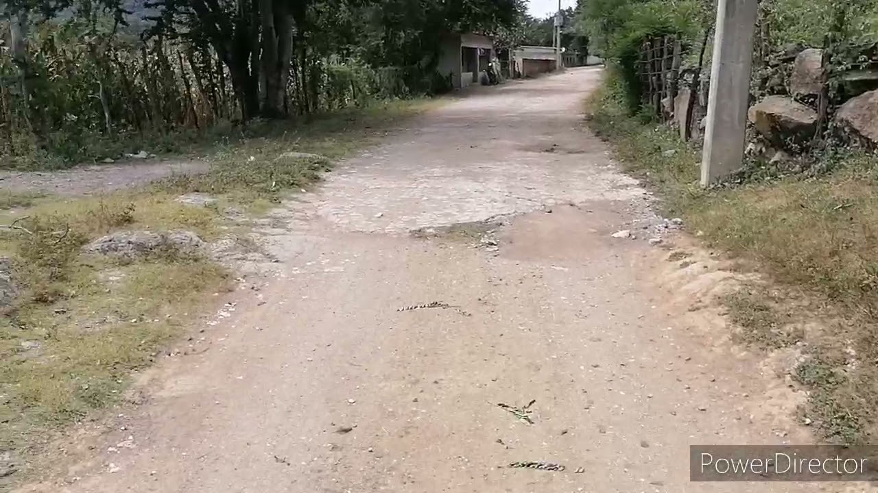 ESCUCHAPA, SIEMPRE SONRRIE A SUS VISITANTES, SIEMPRE AMABLES CON QUIEN LOS VISITAMOS