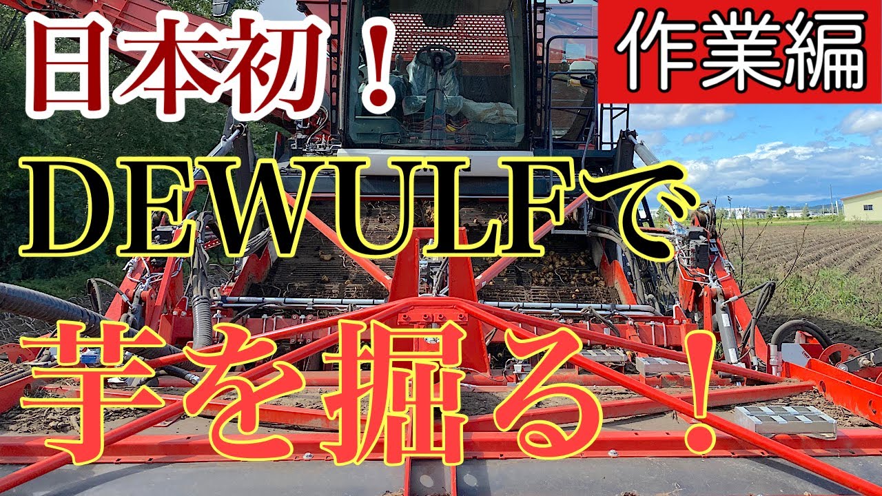 自走式4畝ポテトハーベスター【dewulf 】作業編【デウルフ】馬鈴薯収穫 【ベルギー】DEWULF #56