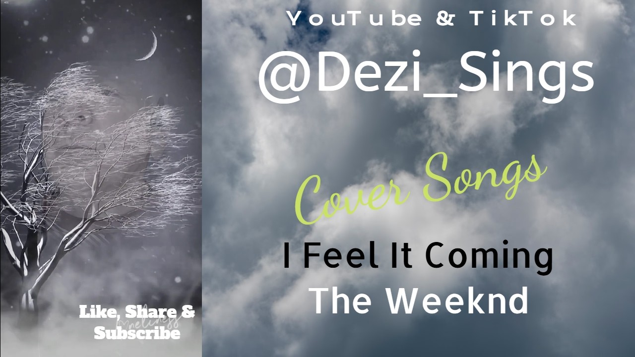 Drive Safe. Myles Smith & Niall Horan. Cover @Dezi_Sings