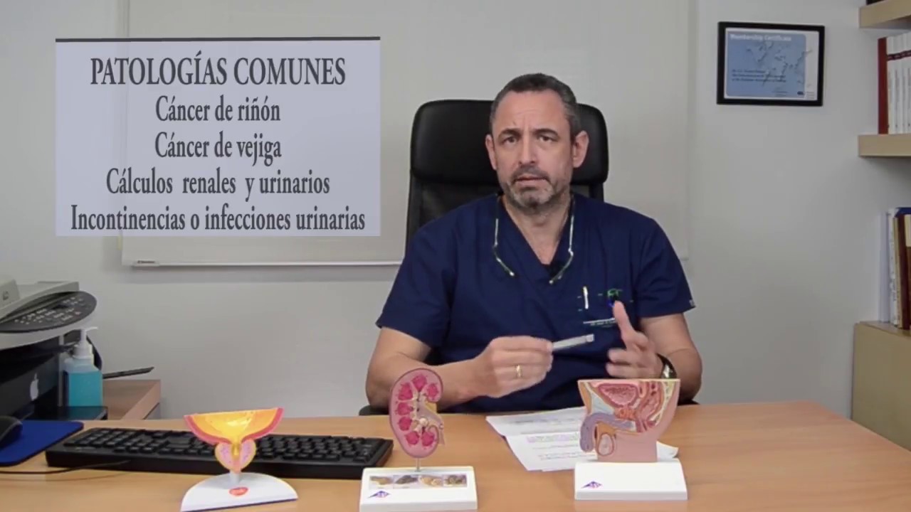 ¿Qué es la Urología? ¿El urólogo es el médico del hombre? Dr. Gómez Pascual