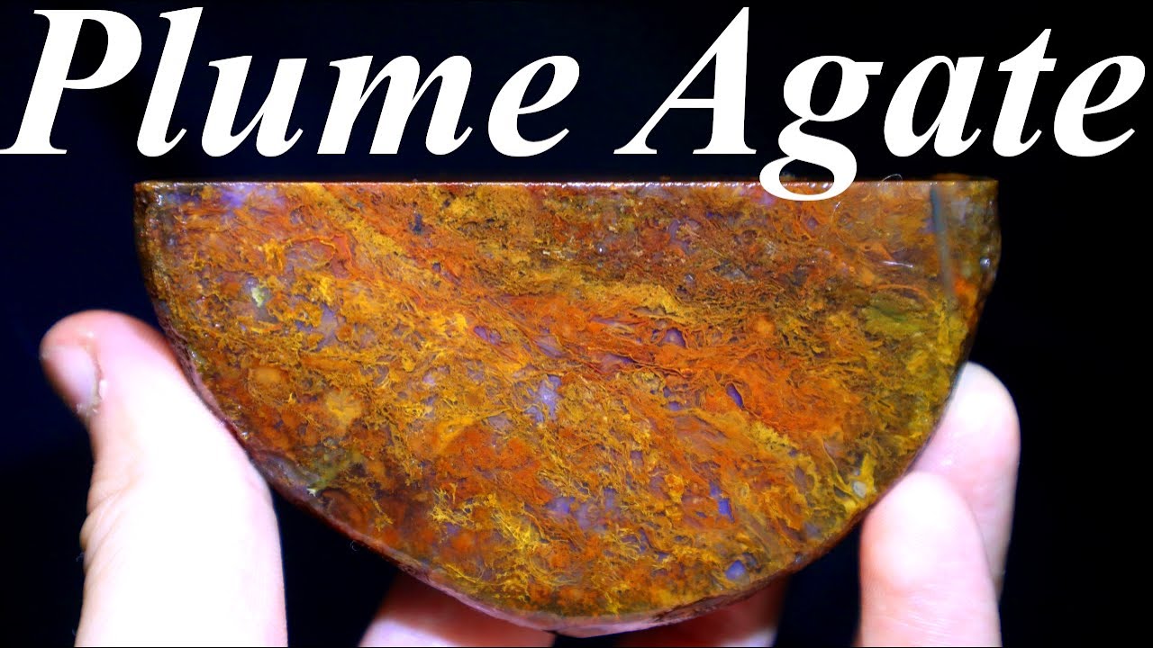 Piles of Plumes! Cutting Specimens of Yellowstone River Plume Agate & Plume Jasper