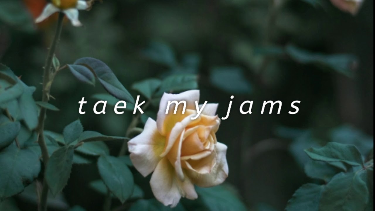 𝘣𝘵𝘴 - 𝘭𝘰𝘷𝘦 𝘮𝘢𝘻𝘦 // 𝘴 𝘭 𝘰 𝘸 𝘦 𝘥