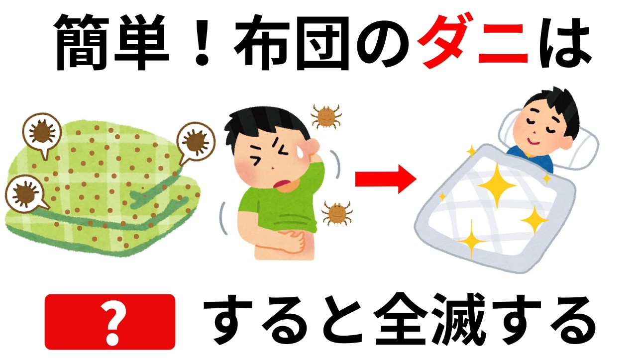 簡単！布団のダニを全滅させる4つのステップ ！知ると役立つ厳選ライフハック雑学【聞き流しOK】