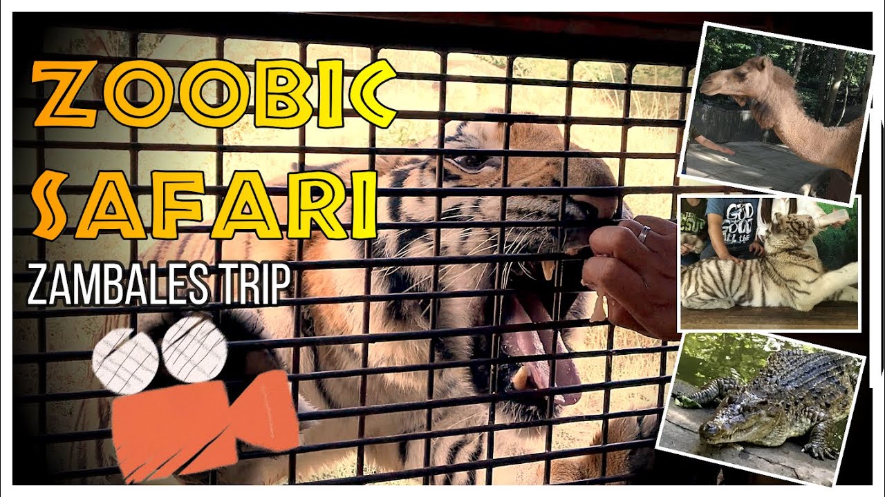 ZOOBIC  SAFARI TRIP